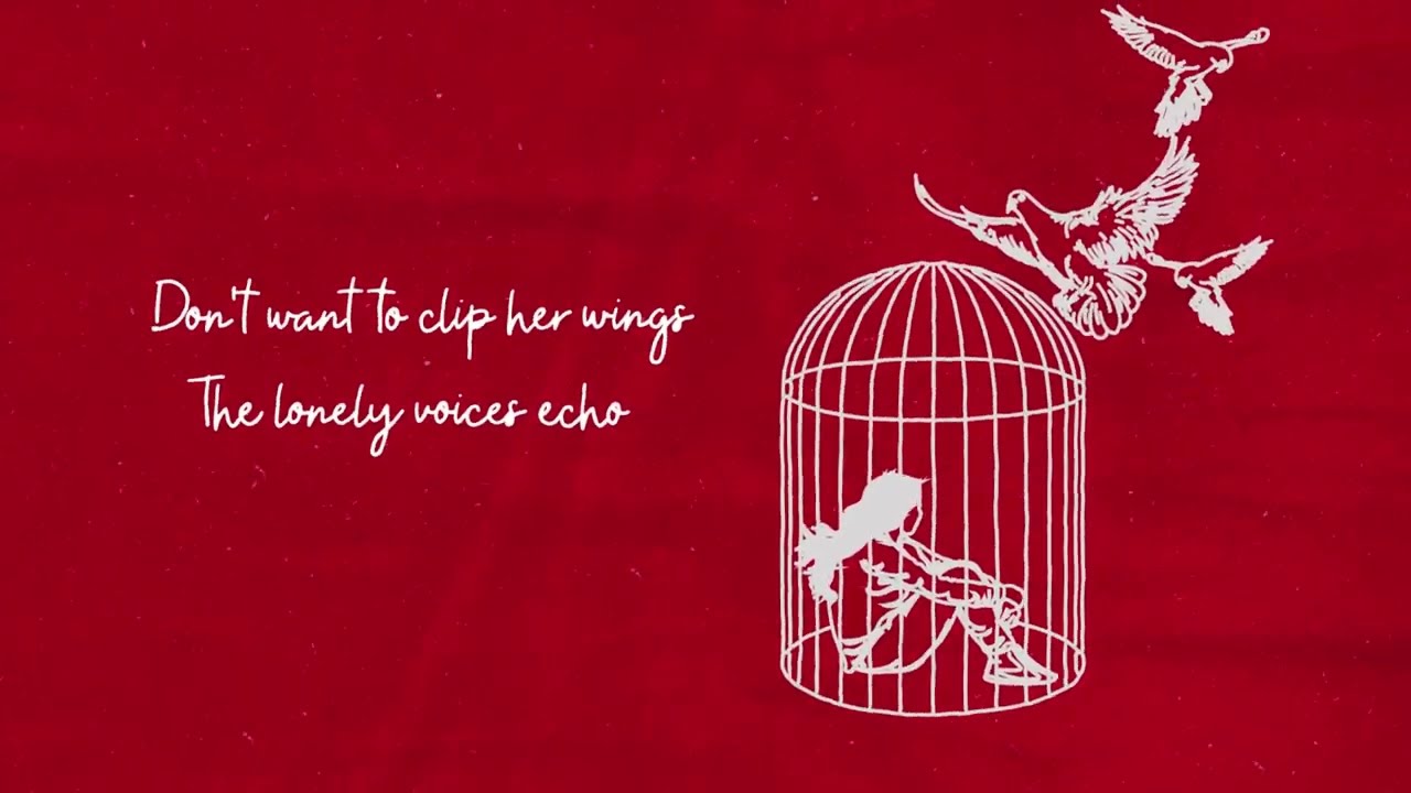Satellite Train - Wings (Lyric Video)